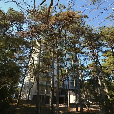 Lignano Pineta With Marvellous Sea View 리그나노 사비아도로