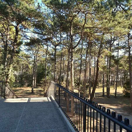 Lignano Pineta With Marvellous Sea View لينانو سابيادورو